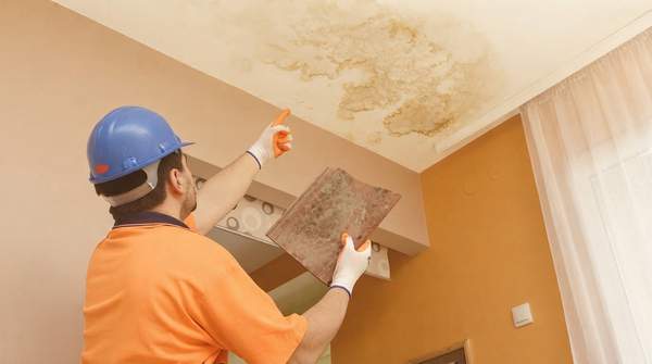 Editorial illustration for Your Homeowner's Guide to Identifying, Preventing, and Safely Removing Household Mold